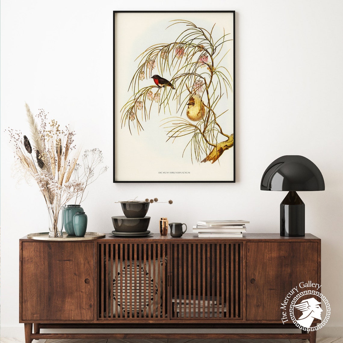 Vintage Mistletoebird Pair Antique Ornithology Illustration Wall Art - Image 6