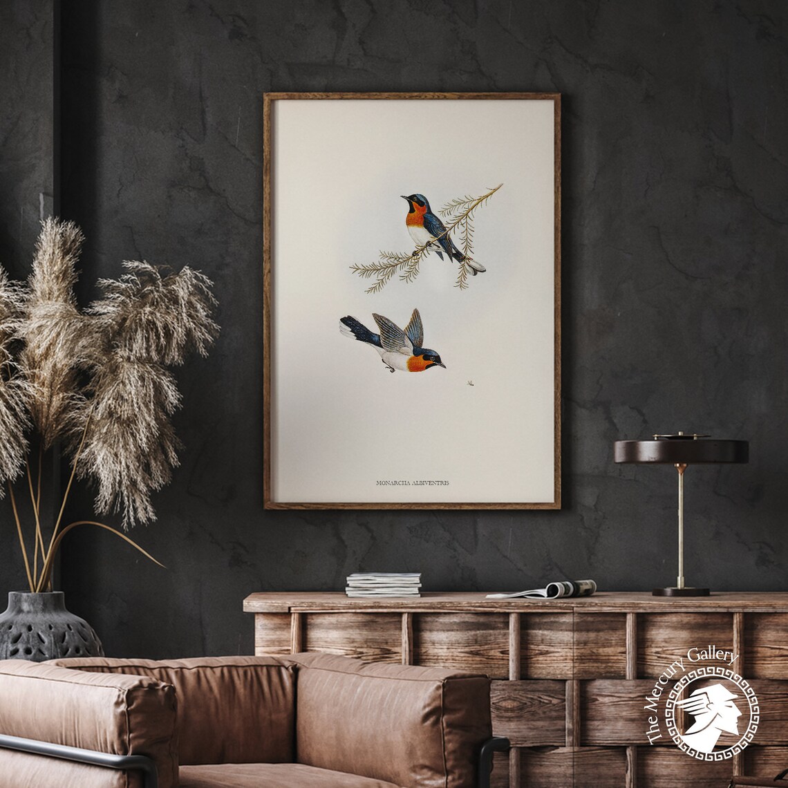 Vintage Spectacled Monarch Flycatcher Pair Antique Bird Art Print - Image 5