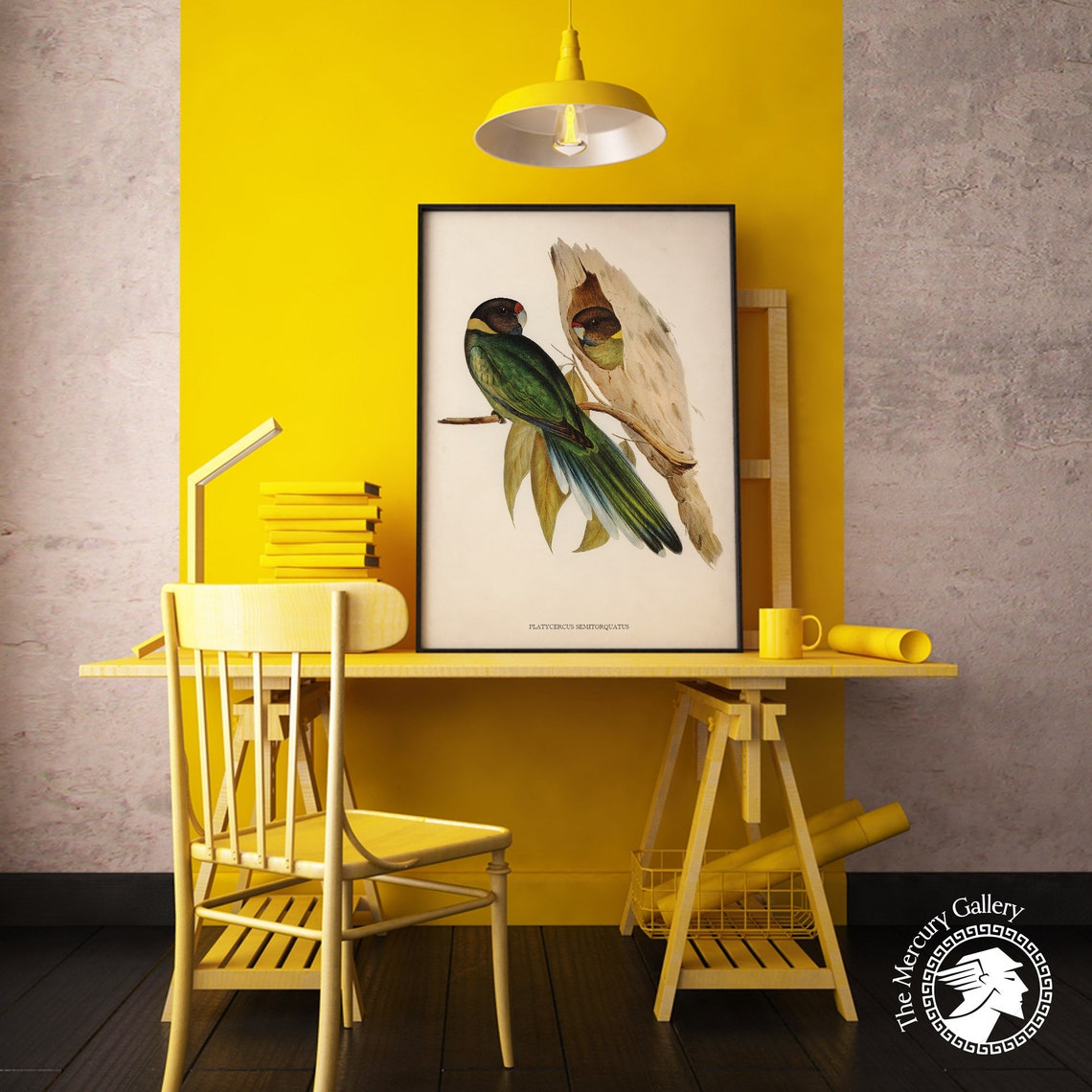 Vintage Yellow-Collared Parakeet Pair Antique Bird Illustration Print - Image 4