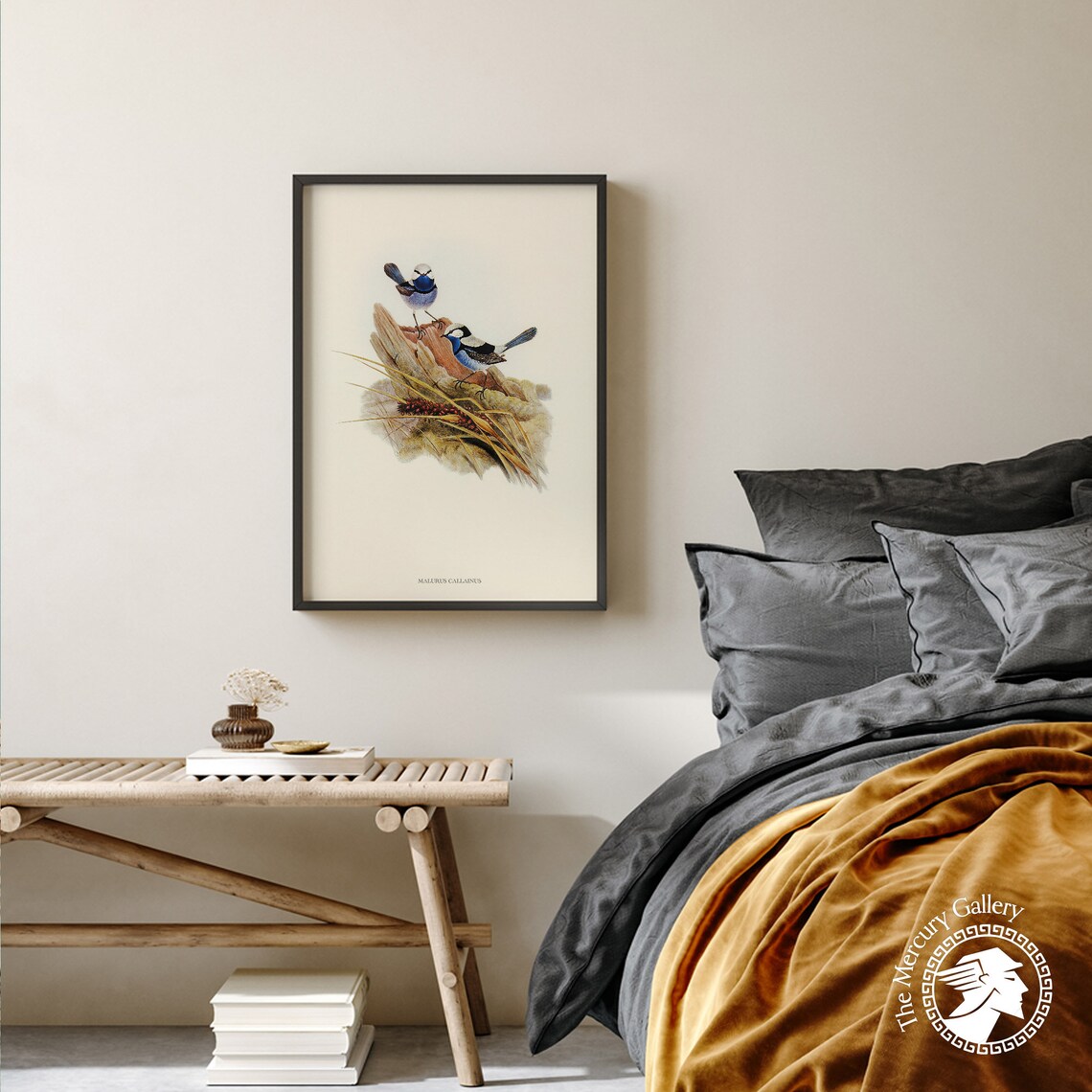 Vintage Turquoise Fairy-Wren Pair Antique Australian Bird Art Print - Image 3