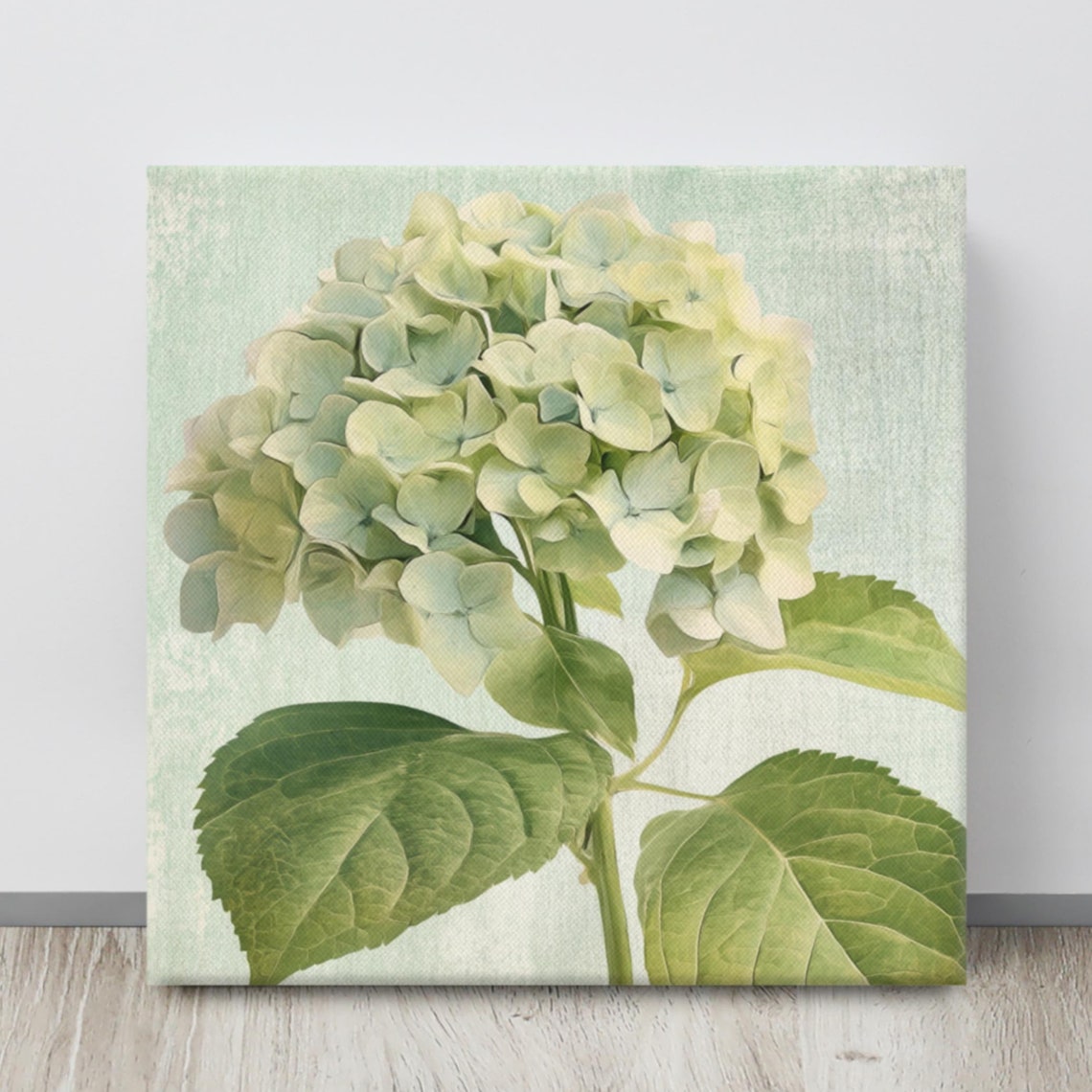 White Green Hydrangea Bloom Vintage Botanical Style Art Poster