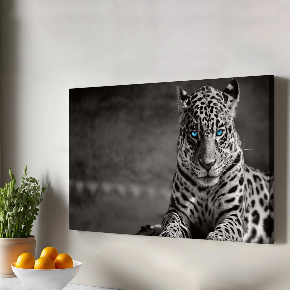 Blue Eyed Leopard Black And White Wildlife Big Cat Photo Poster