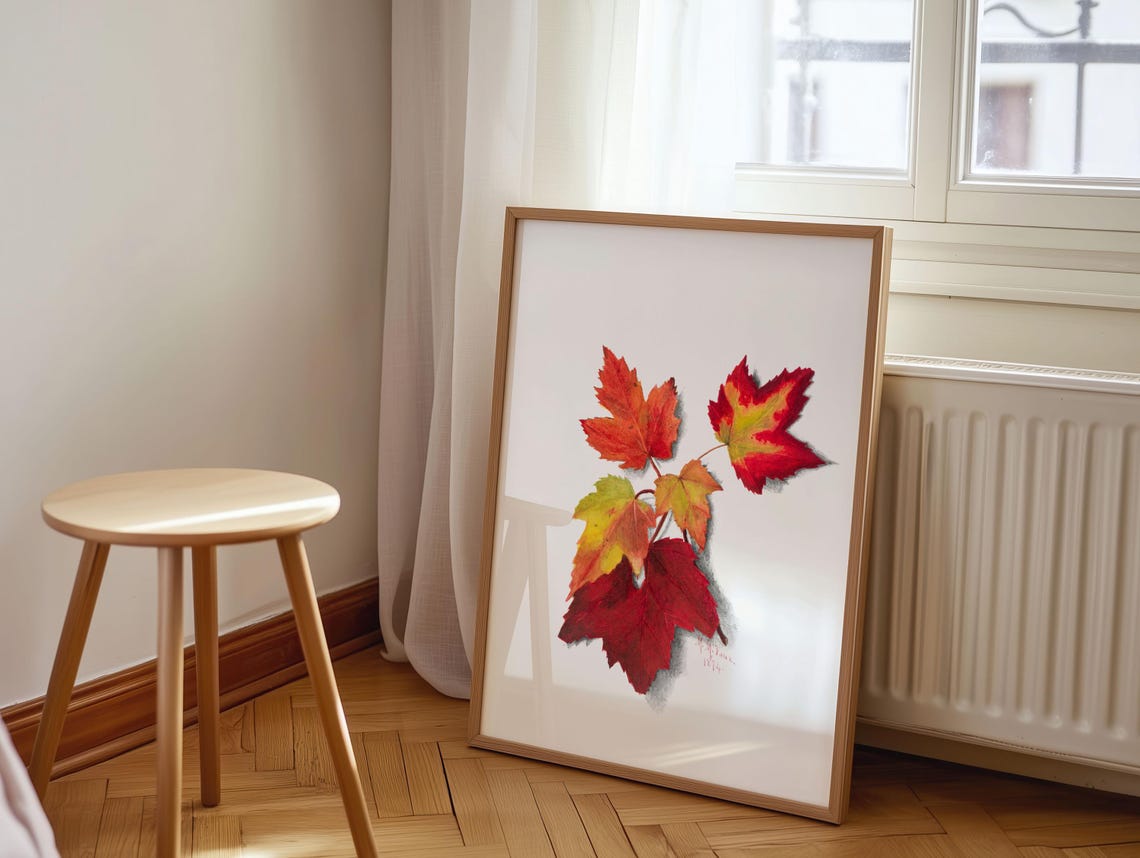 Autumn Leaves Canvas Print Mary Vaux Walcott Botanical Art