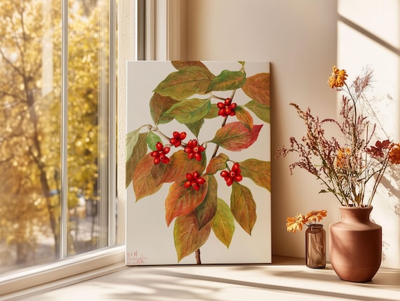 Vintage Flowering Dogwood Branch Red Berries Botanical Art Poster