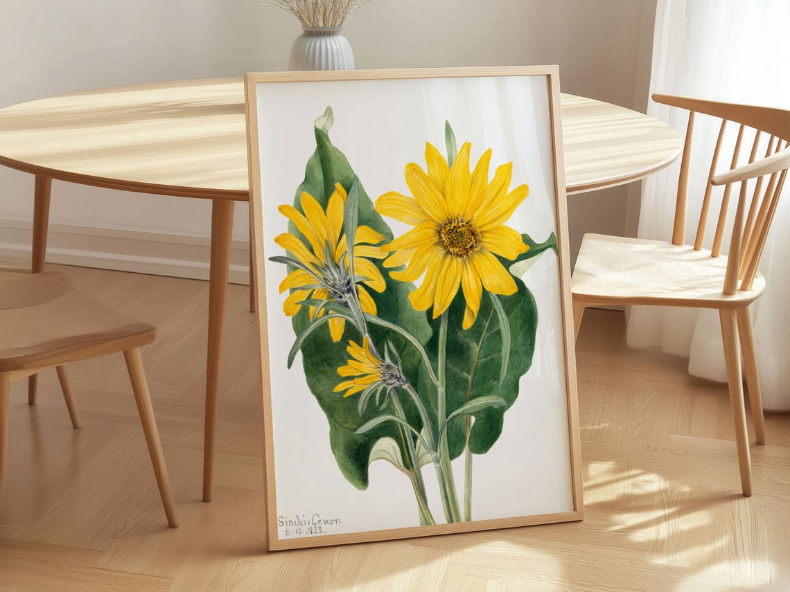 Balsamroot Wildflower Botanical Watercolor Yellow Floral Print