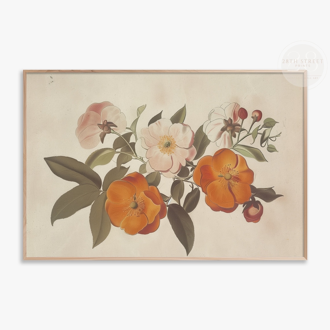 Vintage Orange Blossom Botanical Illustration Cream Floral Wall Art