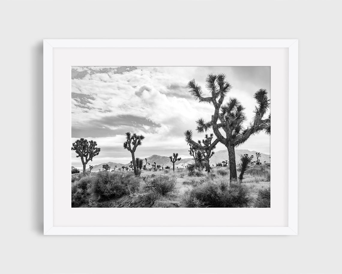 Joshua Tree Photo, California Desert Travel Poster