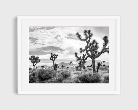Joshua Tree Photo, California Desert Travel Poster