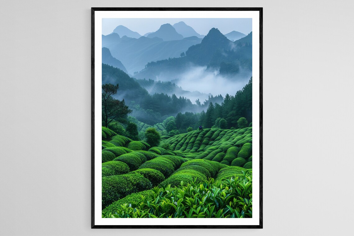 Vietnamese Tea Plantation, Lush Green Landscape