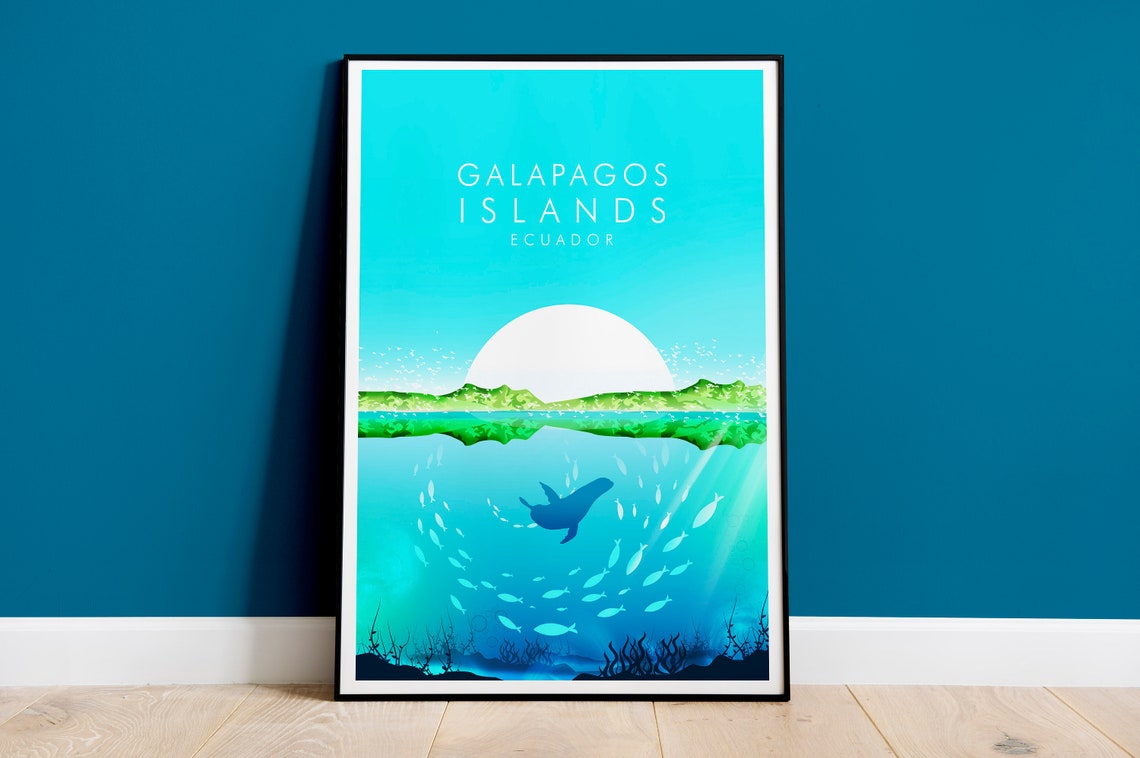 Galapagos Islands Ecuador Sea Lion Wildlife Ocean Split View Poster