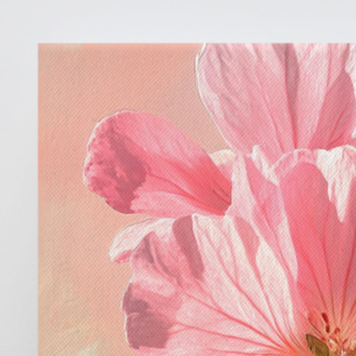 Pink Geranium Bloom Backlit Sunlight Glow Floral Art Canvas Poster - Image 3