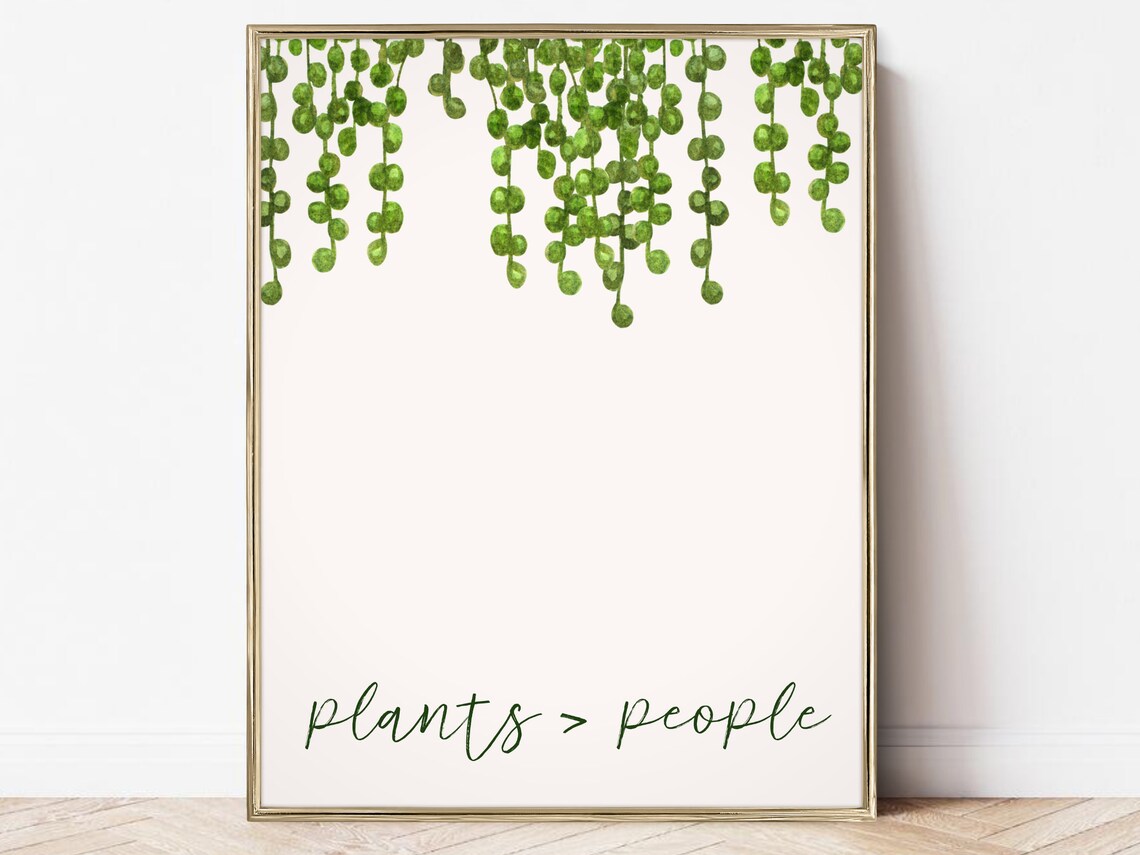 String Of Pearls Plants Over People Watercolor Houseplant Poster