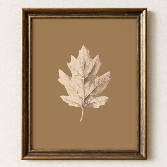 Vintage Oak Leaf Wall Art Minimalist Botanical Study on Brown