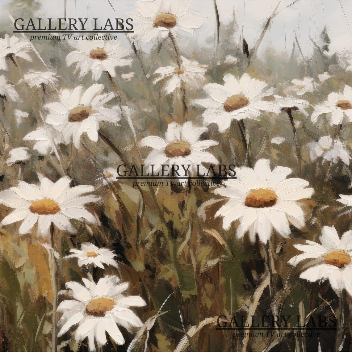White Daisy Flower Field Vintage Botanical Framed TV Art Print - Image 4