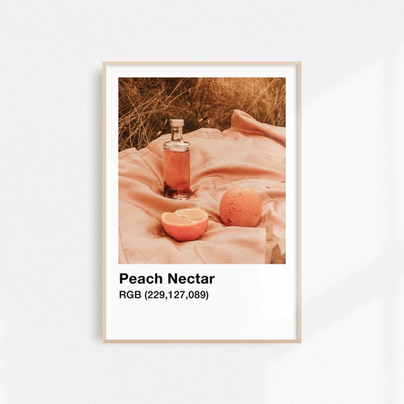 Peach Print Aesthetic Poster Peach Poster Still Life Summer Print Peach Wall Art Kitchen Wall Art Fruit Art