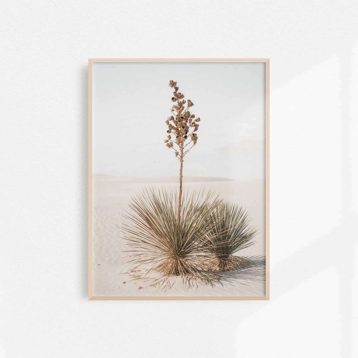 Blooming Yucca Plant on White Desert Sands Minimalist Poster