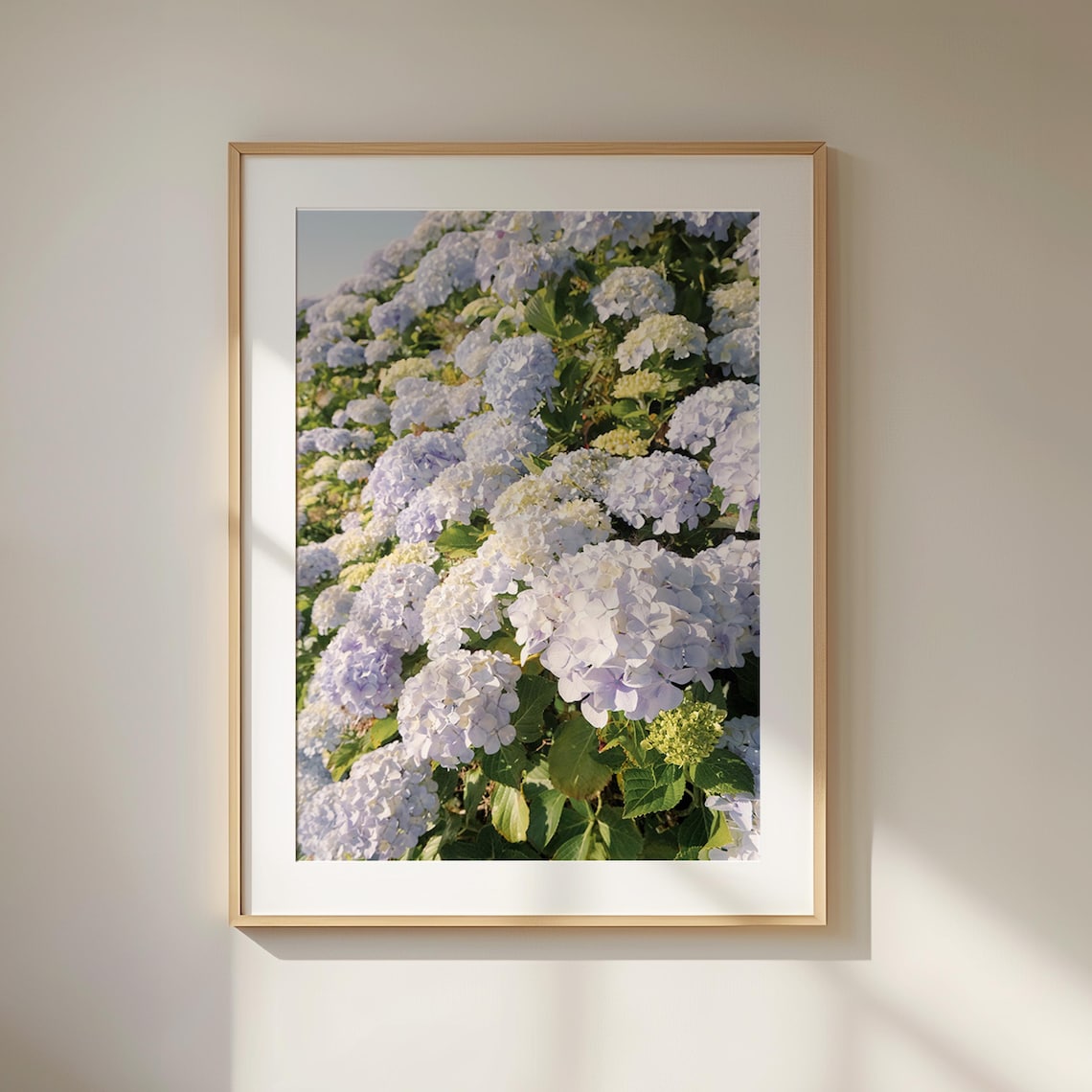 Lilac Hydrangea Blooms Garden Floral Photo Sunlit Vertical Poster