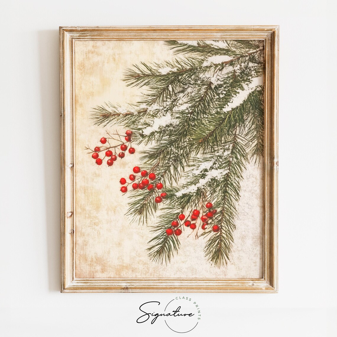 Pine Branches With Red Berries, Vintage Holiday Art Print