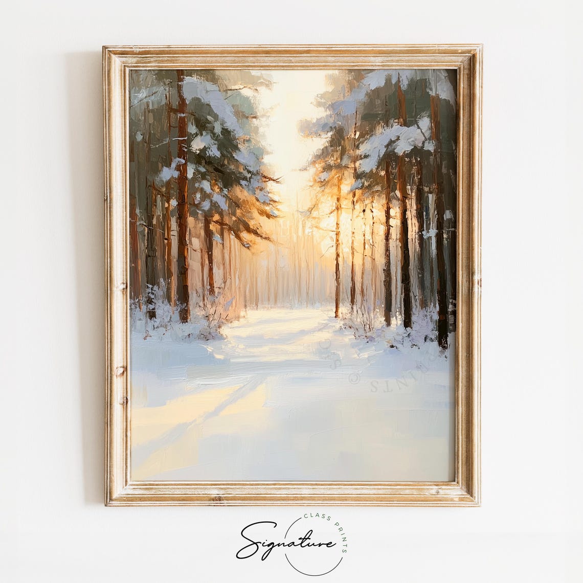 Sunlit Snowy Pine Grove With Soft Winter Forest Light Poster