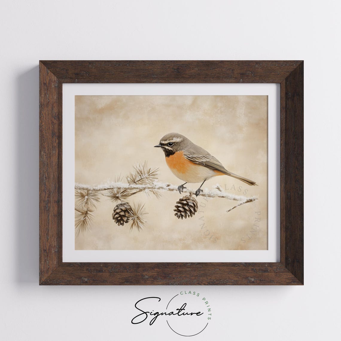Common Redstart With Snowy Pinecones Rustic Winter Bird Poster - Image 4