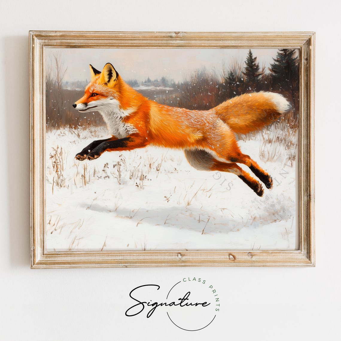 Red Fox Leaping Through A Snowy Field In Mid Air Wildlife Poster