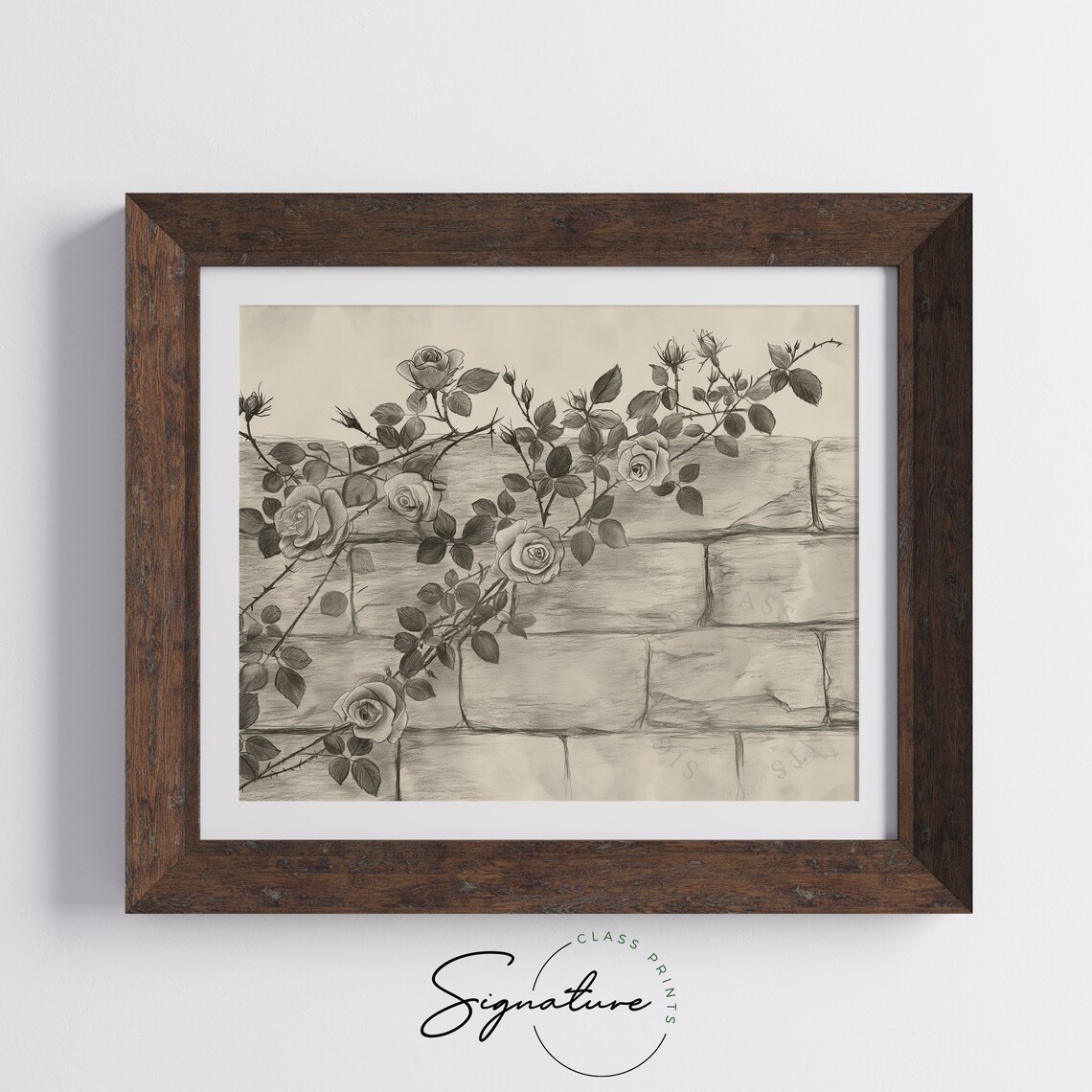 Climbing Roses on Brick Wall Pencil Sketch Vintage Botanical Poster - Image 5