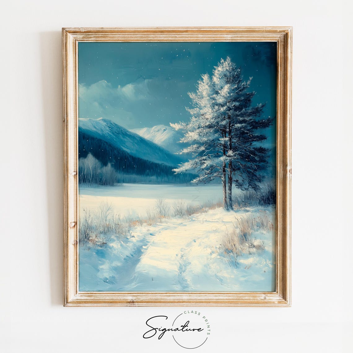 Moonlit Frosty Meadow With Snowy Tree And Mountain View Poster