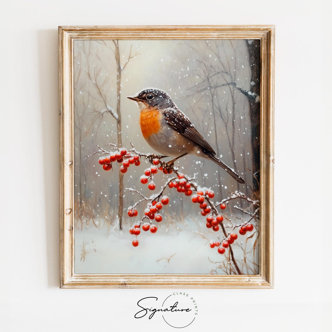 Robin On Frosty Berry Branch In Falling Snow Winter Art Poster