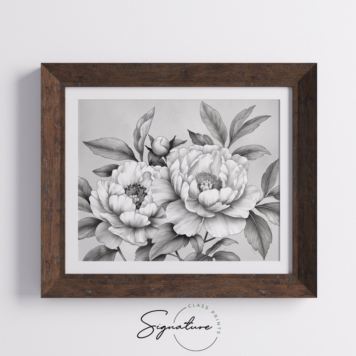 Peonies In Full Bloom Detailed Gray Pencil Botanical Sketch Poster - Image 5