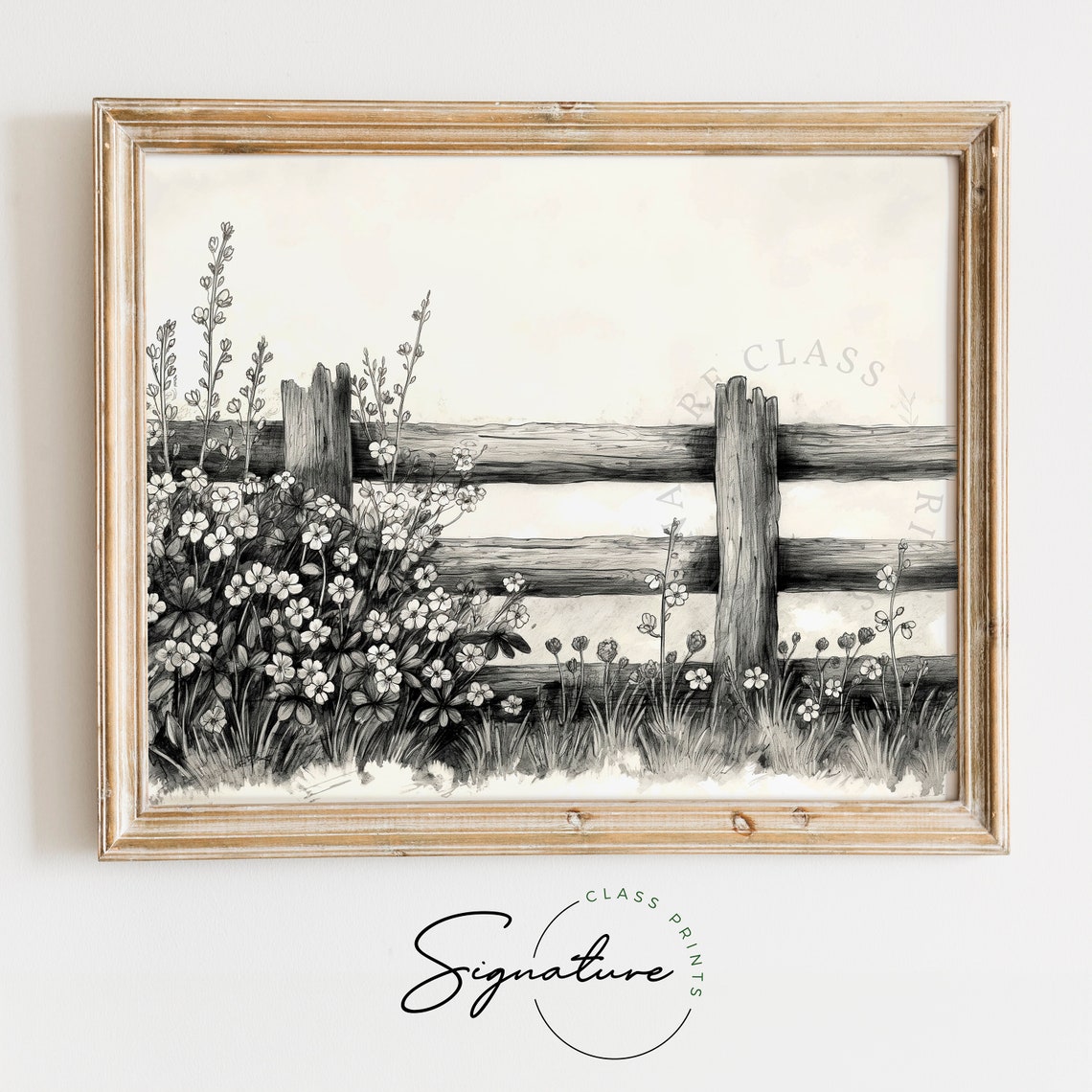 Forget Me Not Blooms By Rustic Fence Botanical Sketch Art Poster