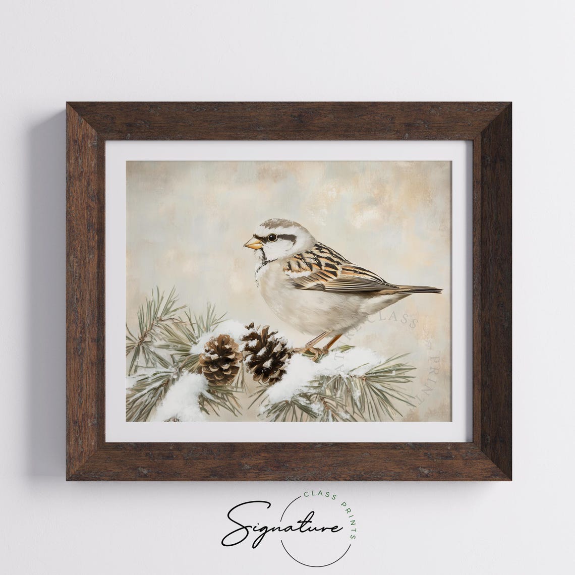 White Crowned Sparrow on Snowy Pine Branch Vintage Bird Art Poster - Image 4