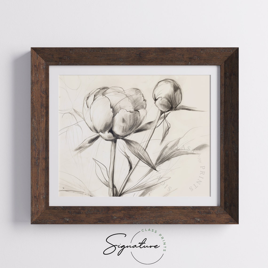 Peony Buds Delicate Gray Pencil Botanical Sketch Line Art Poster - Image 5