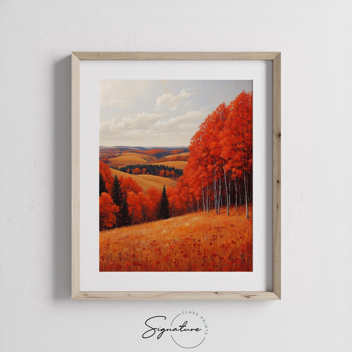 Scarlet Birch Grove on Rolling Golden Hills in Peak Autumn Color Wall Art - Image 3