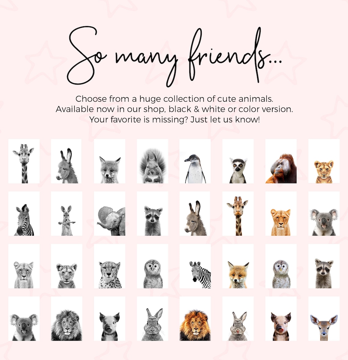 Cute Donkey Nursery Animal Poster for Kids Room