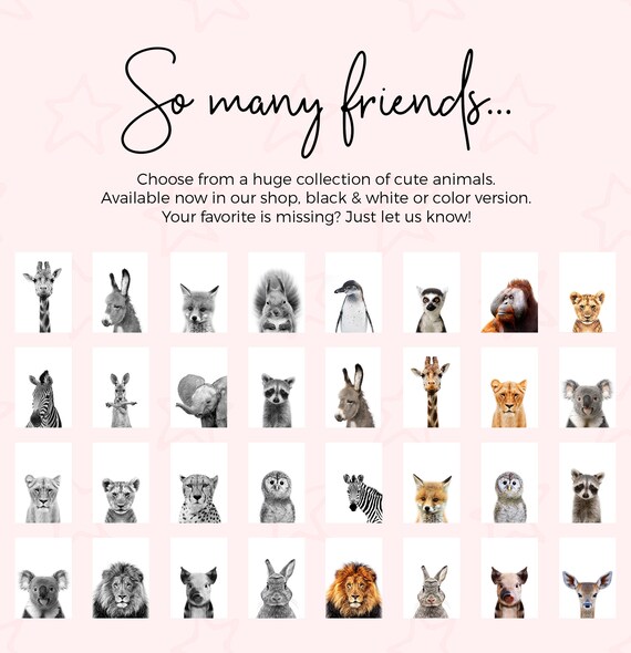 Cute Donkey Nursery Animal Poster for Kids Room