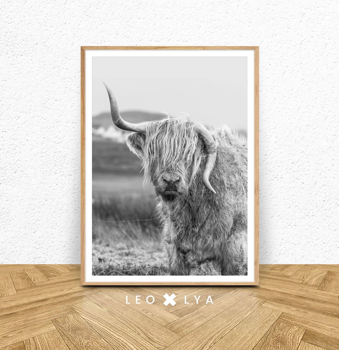 Highland Cow Black and White Scottish Farm Animal Photo Poster