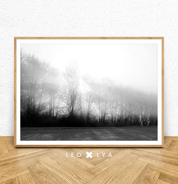 Black And White Landscape Photo Fog Forest Print Landscape Print Black And White Print Modern Minimalist Black White Photography