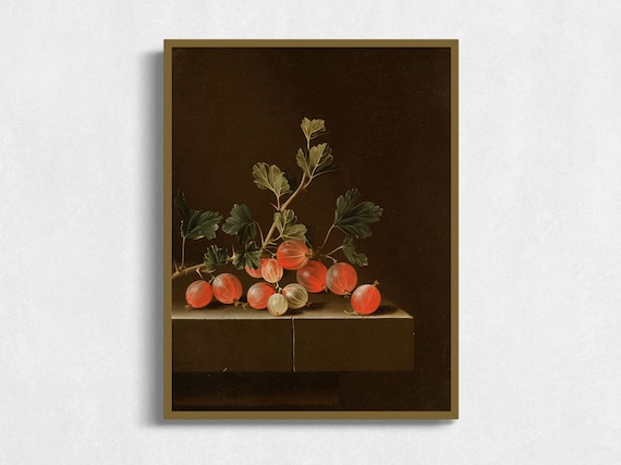 Gooseberries Still Life Vintage Artwork Moody Antique Art Print Wall Art Antique Fruit Oil Painting Kitchen Art