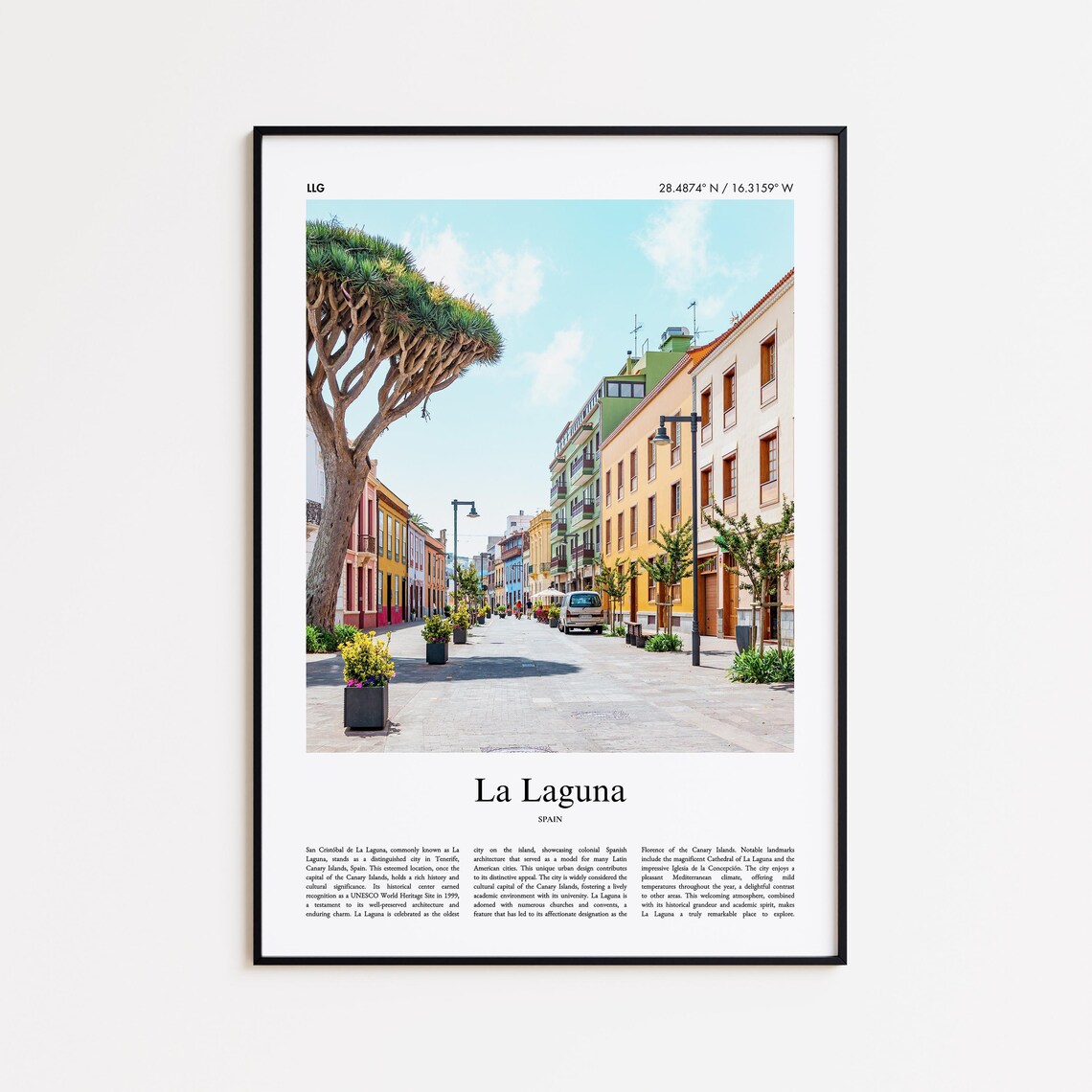 La Laguna Spain Sunny Colonial Street Dragon Tree Color Poster