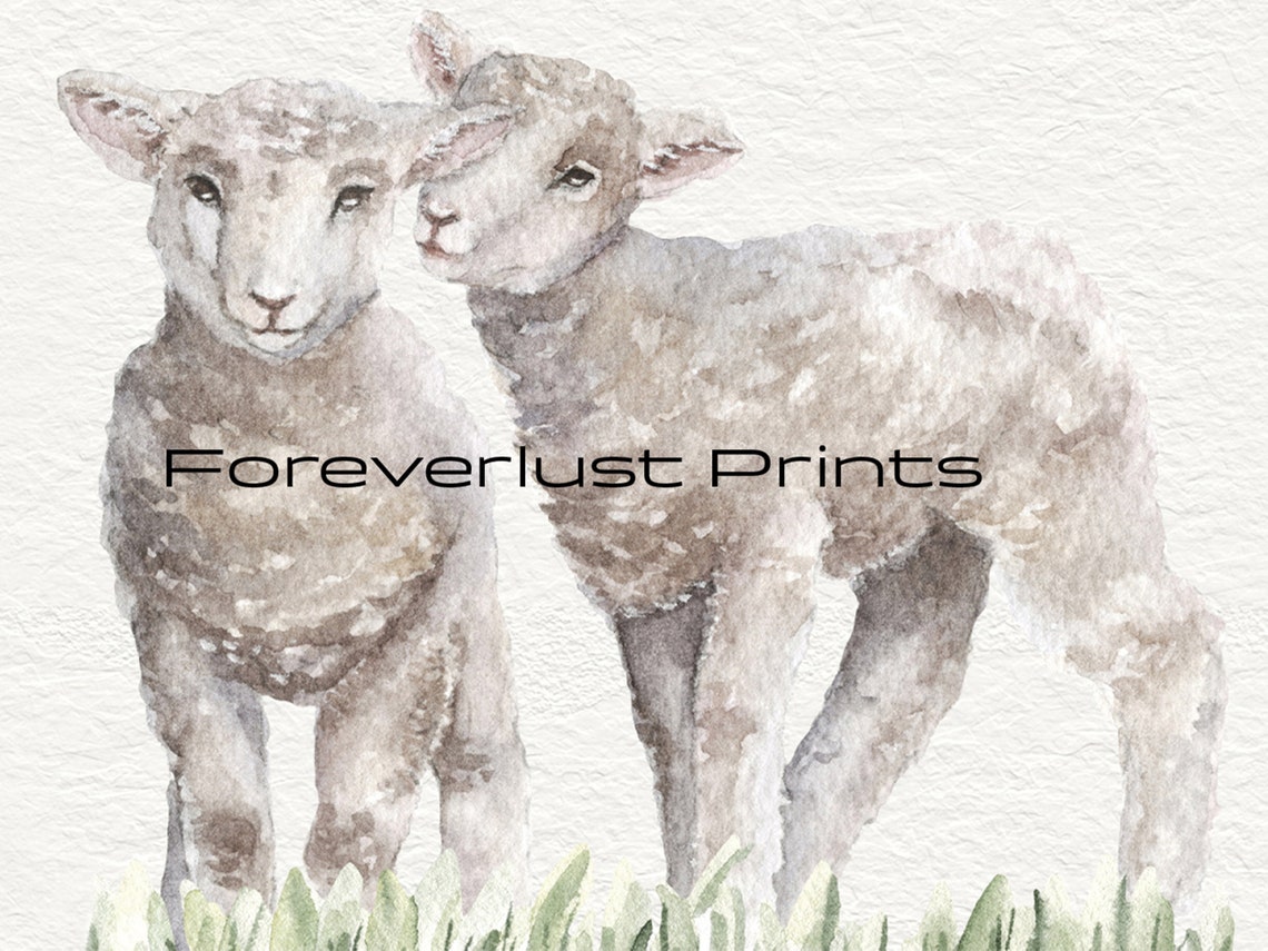 Baby Lambs Watercolor Nuzzling Cute Spring Sheep Nursery Art Print - Image 2