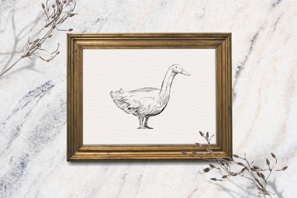 Duck Minimalist Ink Sketch Standing Waterfowl Farmhouse Animal Poster