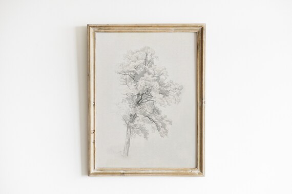 Antique Neutral Tree Sketch, Vintage Nature Drawing