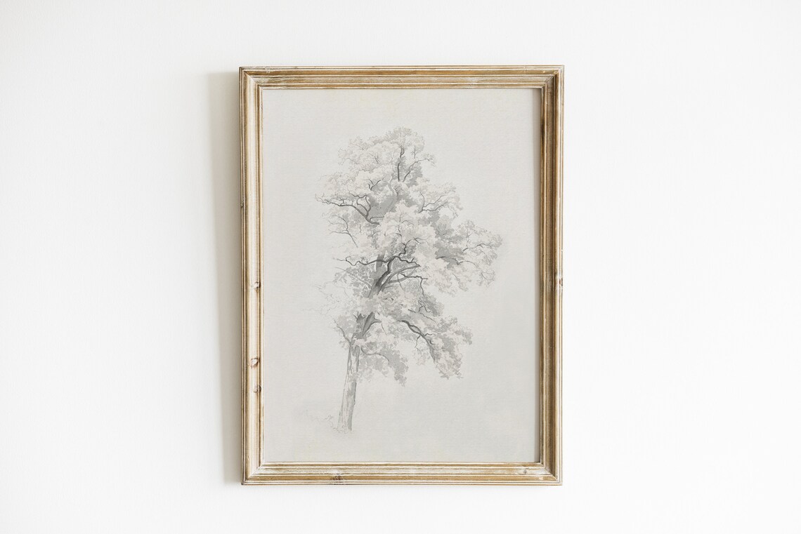 Antique Neutral Tree Sketch, Vintage Nature Drawing