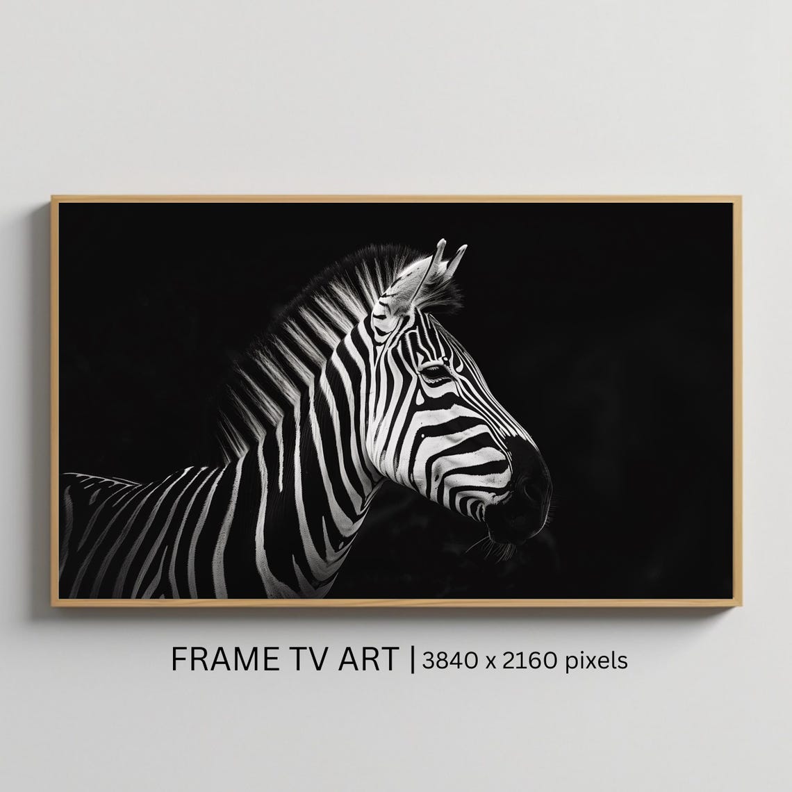 Zebra Monochrome Black and White Portrait Dark Wildlife Poster