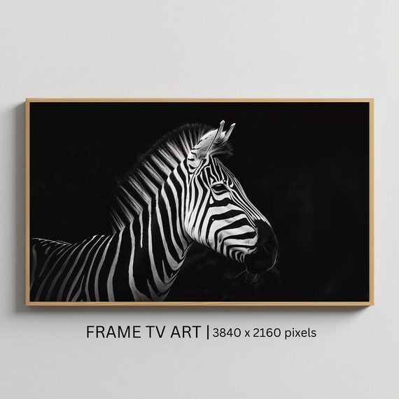 Zebra Monochrome Black and White Portrait Dark Wildlife Poster