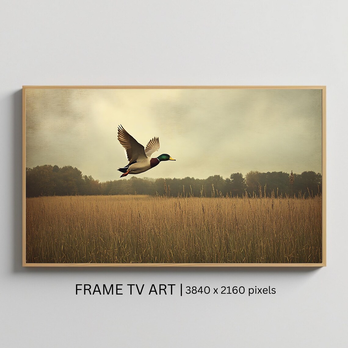 Flying Mallard Duck Rustic Nature Backdrop
