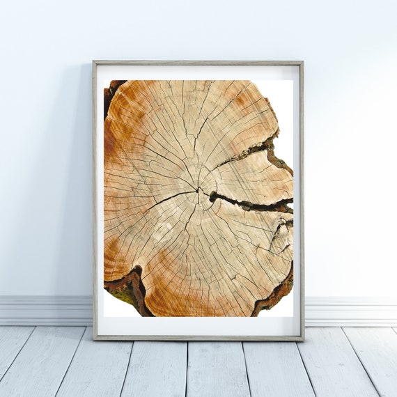 Tree Ring Print Tree Ring Art Print Tree Ring Home Decor Wall Art Print Wall Art Tree Print Tree Stump Print Art