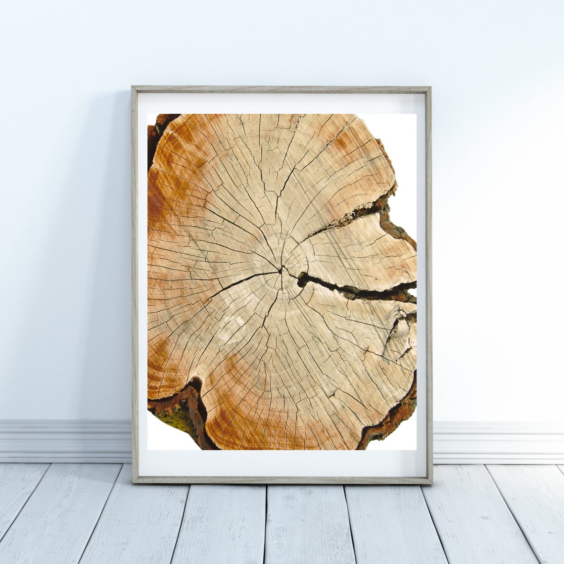 Tree Trunk Cross Section Growth Rings Rustic Nature Photo Poster