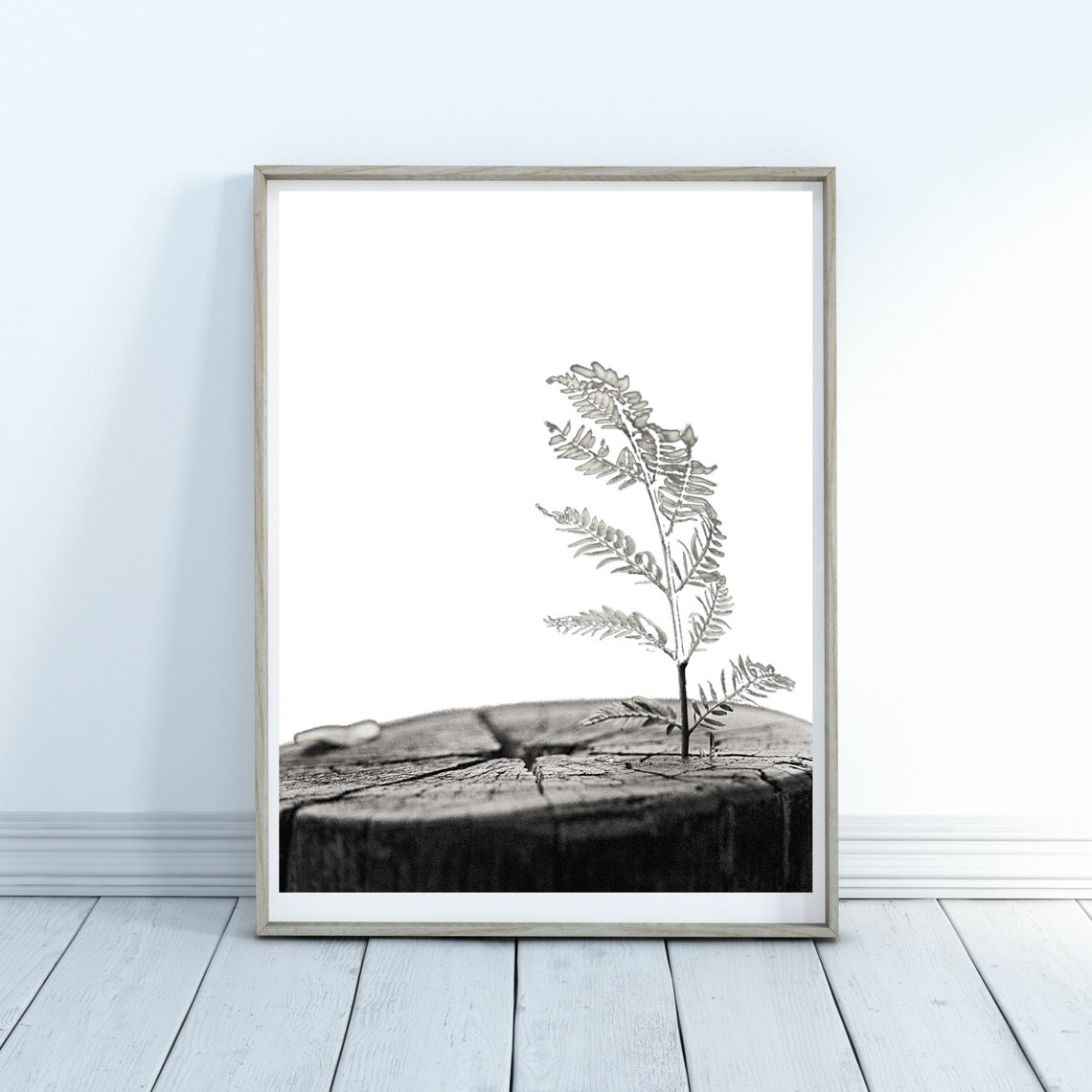 Fern Sprouting from Tree Stump Black and White Nature Poster