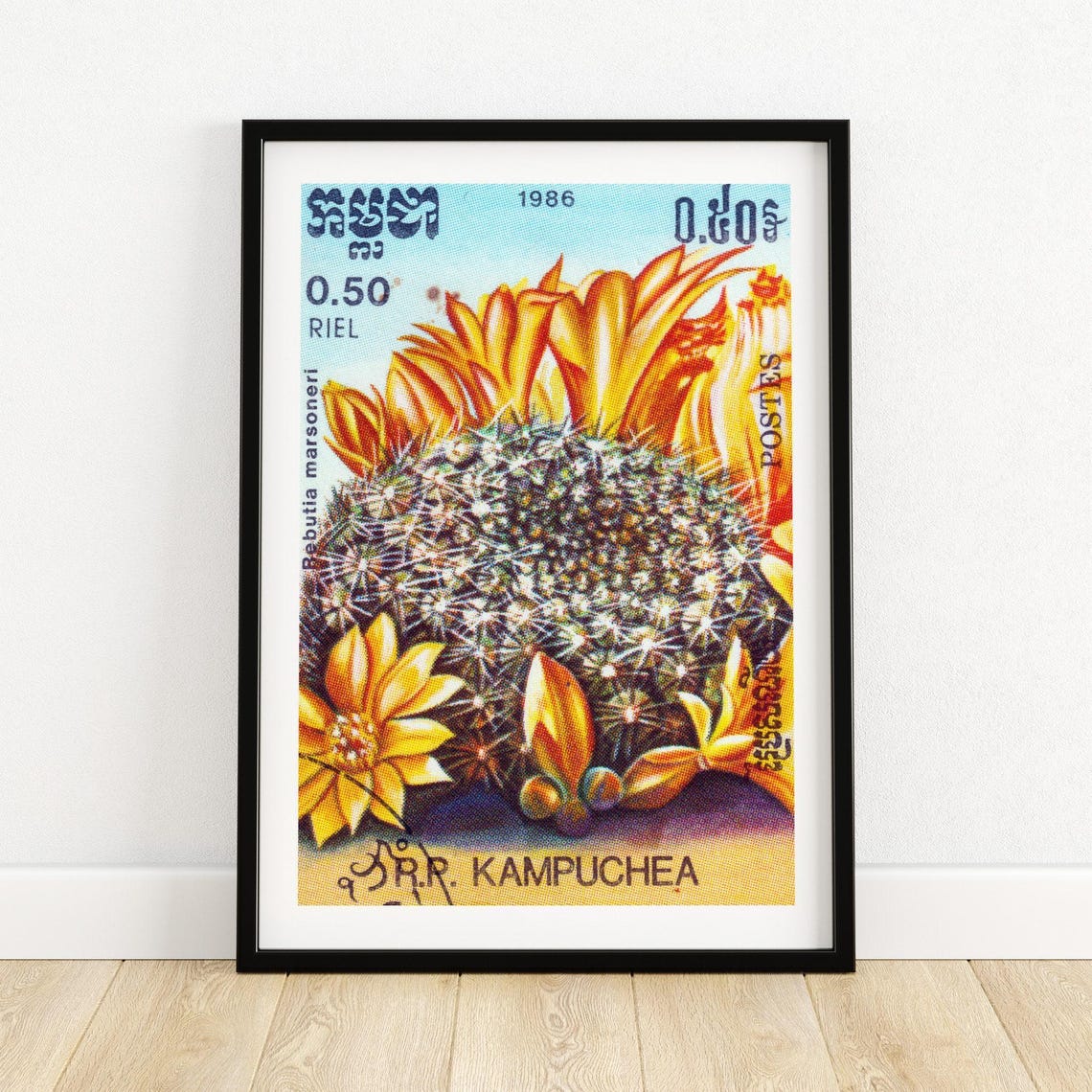 Cambodia 1986 Cactus Bloom Postage Stamp Rebutia Flower Poster